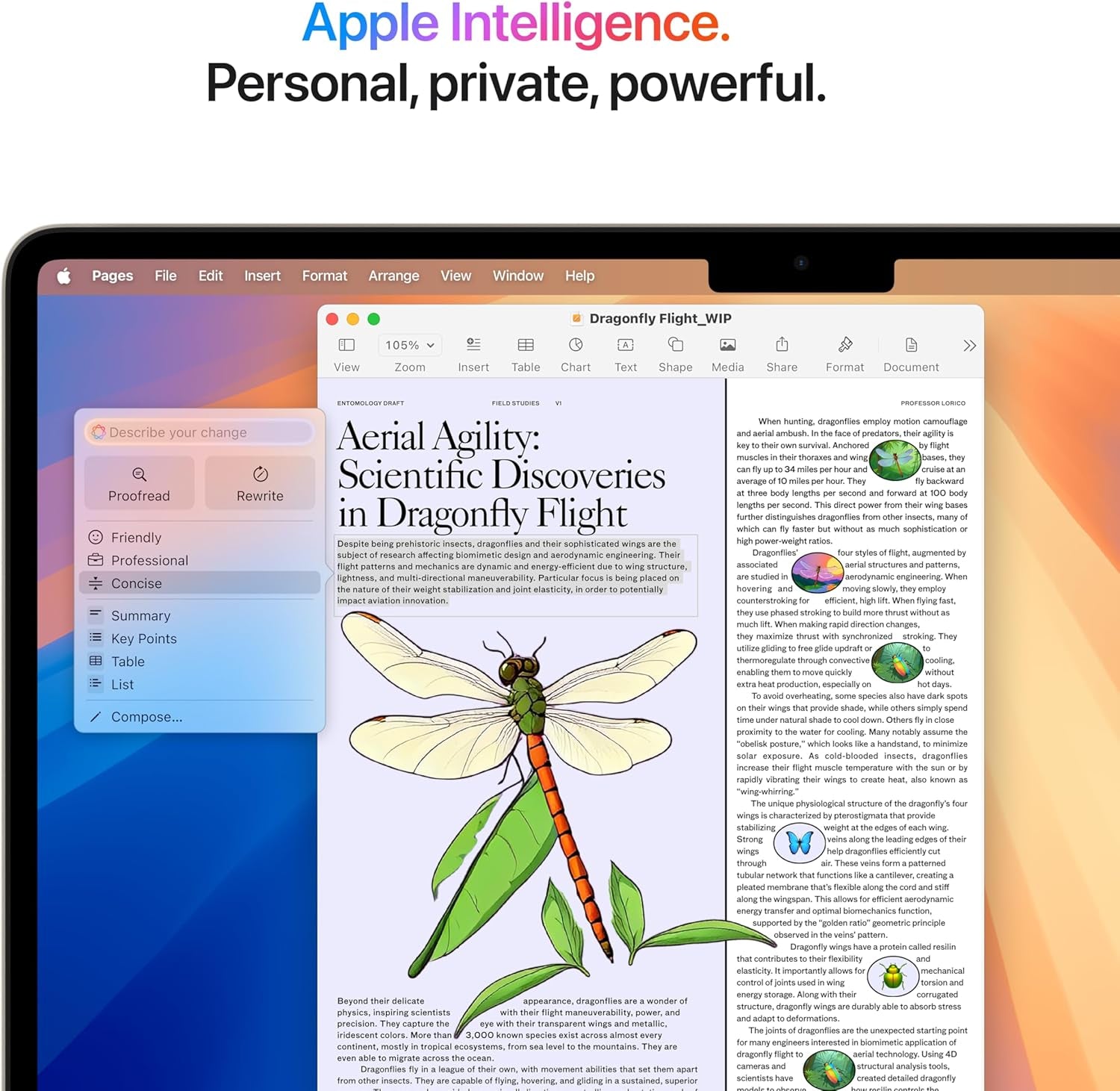 2025 Macbook Air 13-Inch Laptop with M4 Chip: Built for  Intelligence, 13.6-Inch Liquid Retina Display, 16GB Unified Memory, 256GB SSD Storage, Touch ID; Starlight with care+ (3 Years)