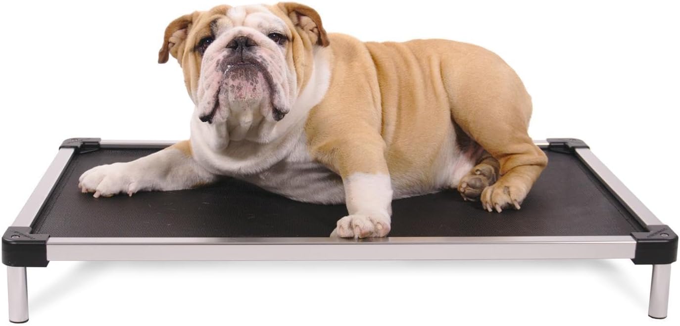 Say goodbye to chewed-up beds! 🐾 Check out the K9 Ballistics Chew Proof Elevated Cooling Cot for Small Dogs & Puppies - tough, comfy, and ready for your little chewer! 🖤✨