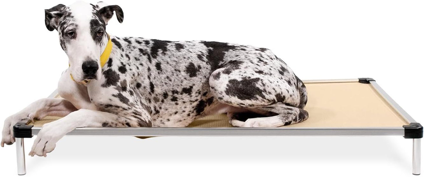 Say goodbye to chewed-up beds! 🐾 Check out the K9 Ballistics Chew Proof Elevated Cooling Cot for Small Dogs & Puppies - tough, comfy, and ready for your little chewer! 🖤✨