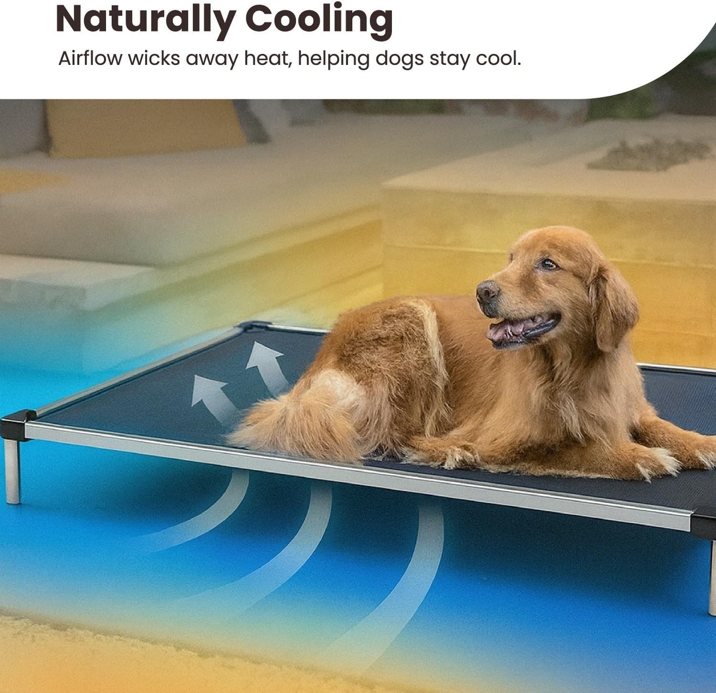Say goodbye to chewed-up beds! 🐾 Check out the K9 Ballistics Chew Proof Elevated Cooling Cot for Small Dogs & Puppies - tough, comfy, and ready for your little chewer! 🖤✨