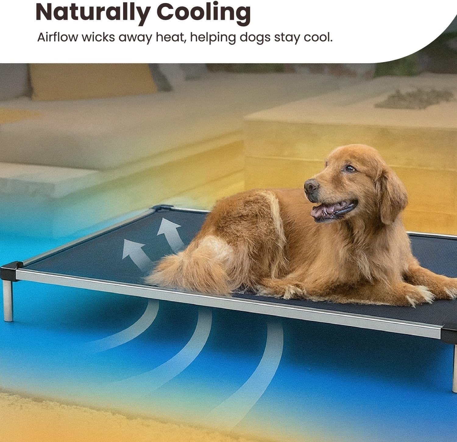 Say goodbye to chewed-up beds! 🐾 Check out the K9 Ballistics Chew Proof Elevated Cooling Cot for Small Dogs & Puppies - tough, comfy, and ready for your little chewer! 🖤✨