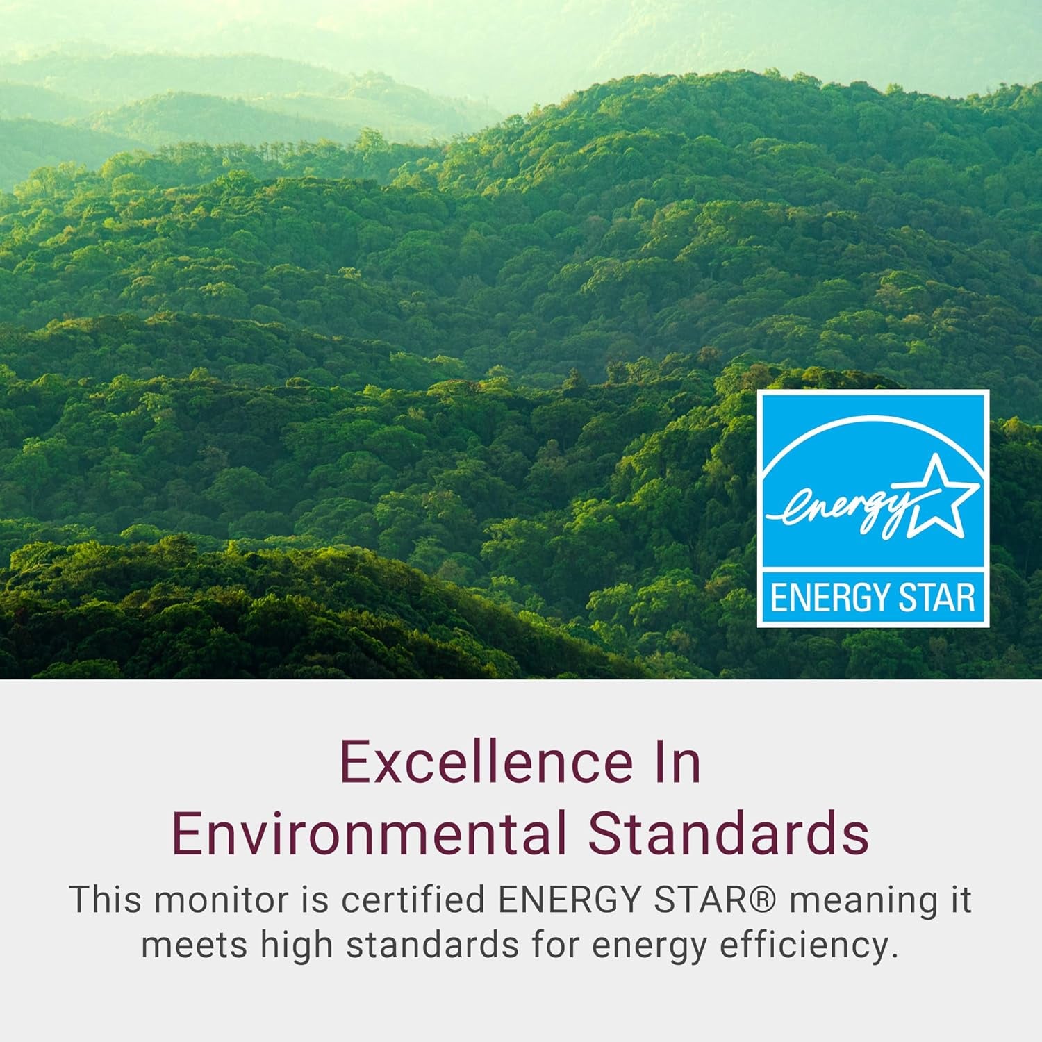 24 Monitor - SE2425HM - 23.8-Inch Full HD (1920X1080) 16:9 100Hz Display, IPS Panel, 16.70 Million Colors, Anti-Glare, 1 HDMI / 1 VGA Port, TÜV Rheinland 3-Star*, Comfortview plus - Black