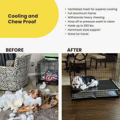 Say goodbye to chewed-up beds! 🐾 Check out the K9 Ballistics Chew Proof Elevated Cooling Cot for Small Dogs & Puppies - tough, comfy, and ready for your little chewer! 🖤✨